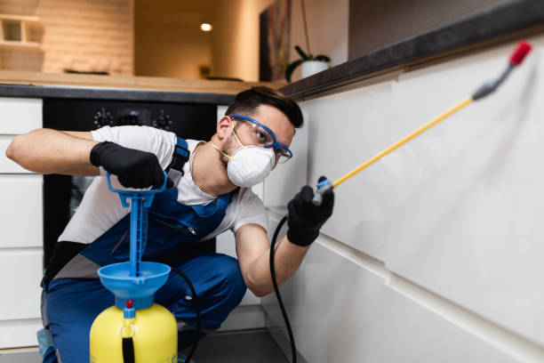 Wasp Removal Services in Wendell, ID