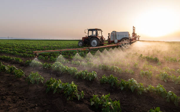 Best Pest Removal Services  in Wendell, ID