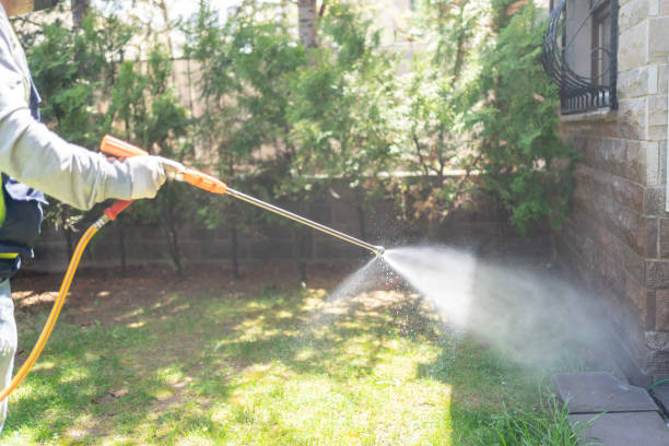 Wildlife Control Services in Wendell, ID