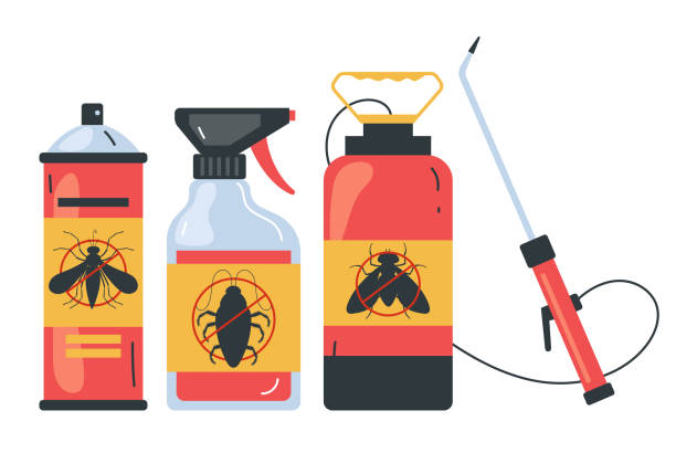Best Termite Control Services  in Wendell, ID