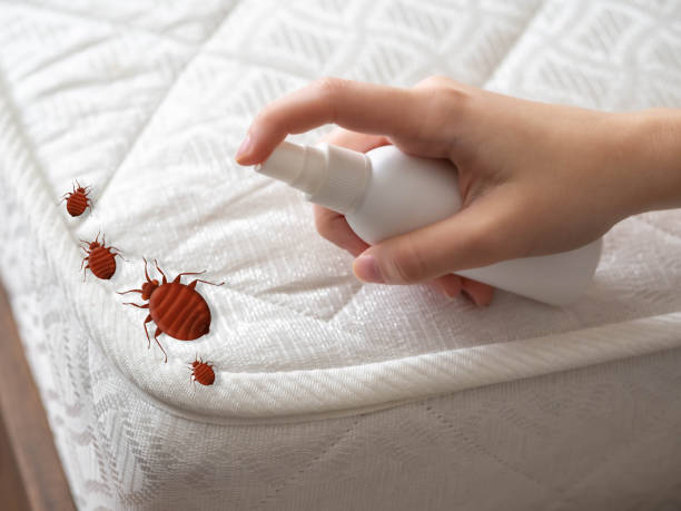 Best Commercial Pest Control Services  in Wendell, ID